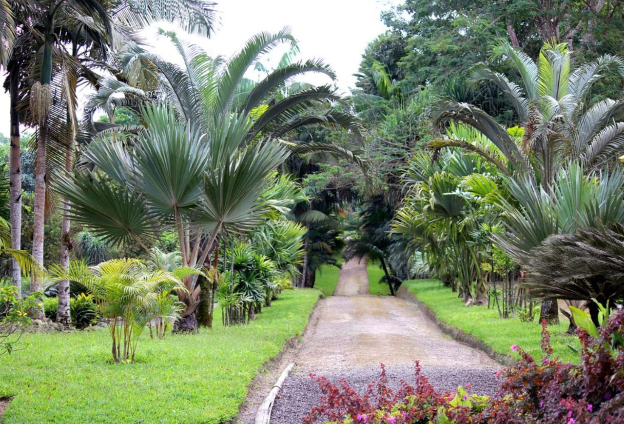 Bnb Tropical Island Aparthotel - Corales Del Sur - Santo Domingo Este Kültér fotó